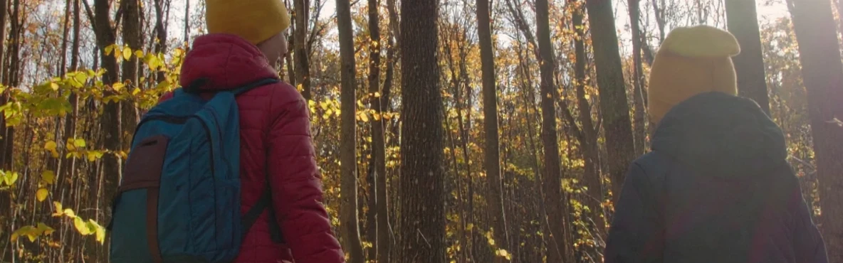 Hiking Trails in Castaic: The Best Spots for Nature Lovers