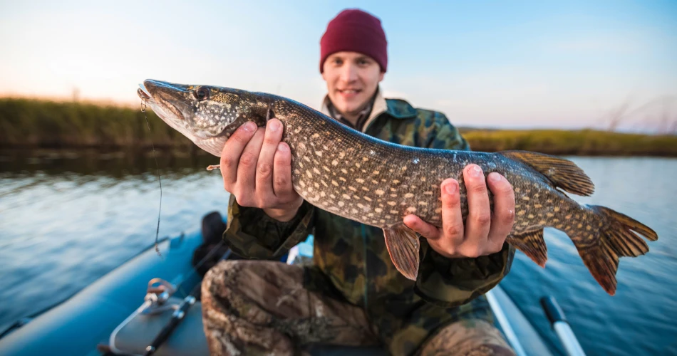 Castaic Lake Lifestyle: Fishing, Boating & Community Activities