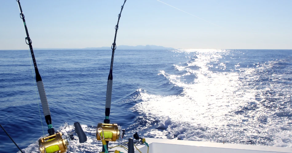 Castaic Lake Lifestyle: Fishing, Boating & Community Activities