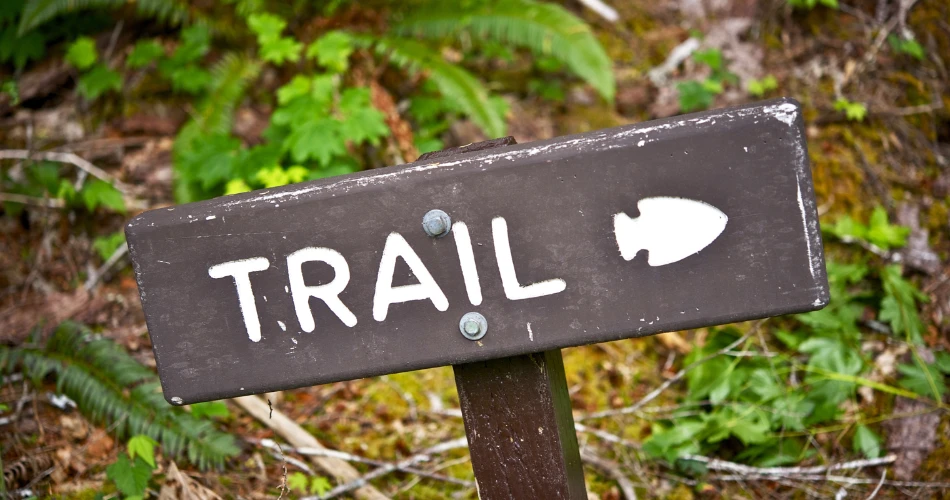 Hiking Trails in Castaic: The Best Spots for Nature Lovers